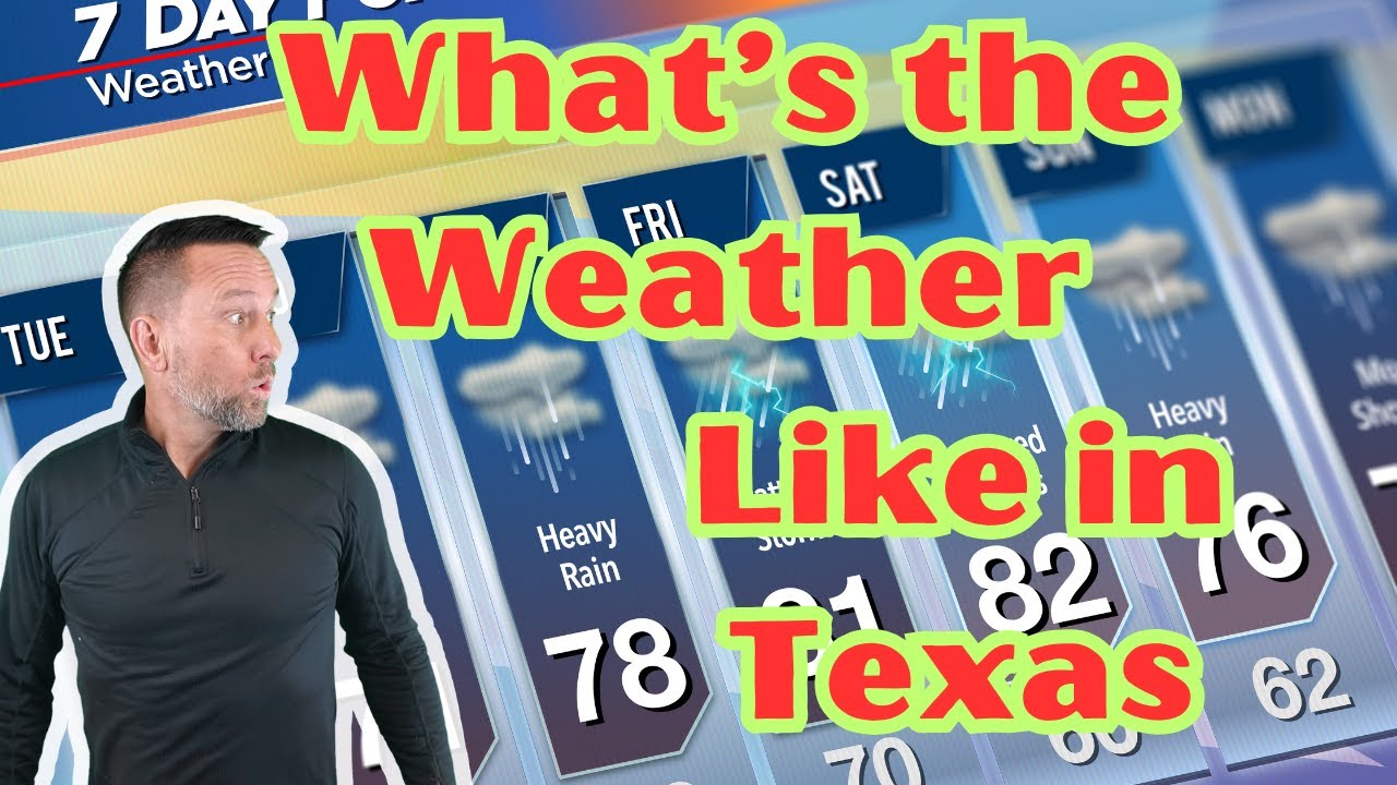 What Austin Weather Is Really Like: A Season by Season Breakdown